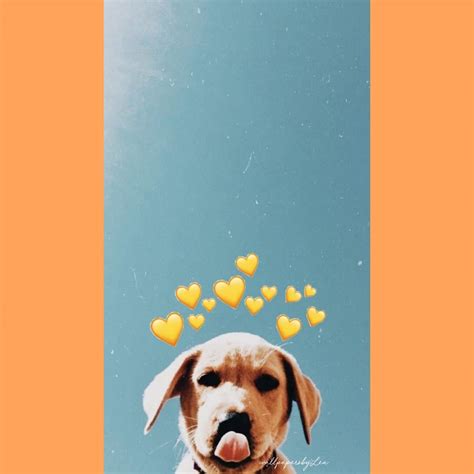 Cute Aesthetic Dog Wallpapers - Wallpaper Cave