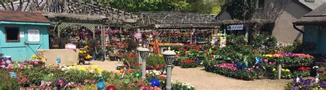 Summer garden & plant sale. Long Island Nursery: Plant, Flower, & Garden Store in ...
