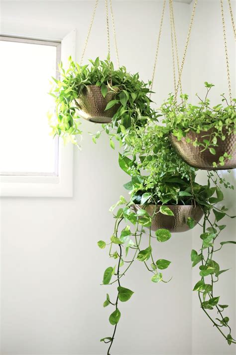 Hanging plants are another innovative way to add flowers and greenery to your patio, porch, and garden. Easy Hanging Planter DIY - A Beautiful Mess | Plant decor ...