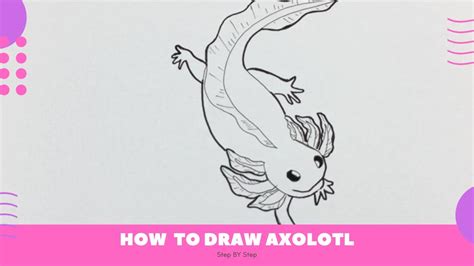 How To Draw Axolotl Easy Youtube