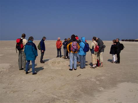 In kürzester zeit erreichen sie den strand, das. Nationalpark-Haus Juist gewinnt neue Kooperationspartner ...