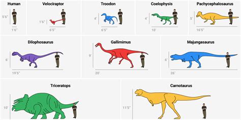 Dinosaur Size Comparison Chart Business Insider