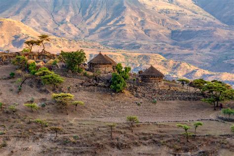 The population density in ethiopia is 115 per. Ethiopia announces state of emergency to contain COVID-19 spread | Times of India Travel