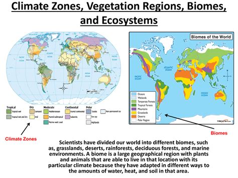 Climate Zones And Biomes