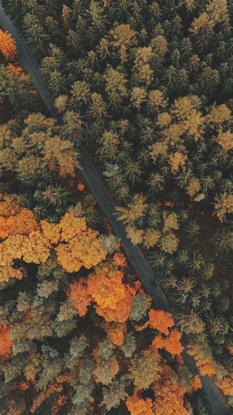 8 Free Autumn Inspired Iphone 7 Plus Wallpapers Fall