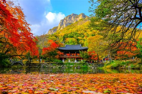 20 Best Places To Visit In South Korea In 2021 Road Affair