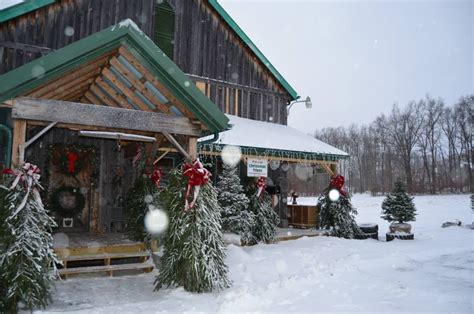 Boyd mountain christmas tree farm 445 boyd farm road, waynesville, 828.926.8888 santa dates: Most excellent Christmas Tree Farms Across America