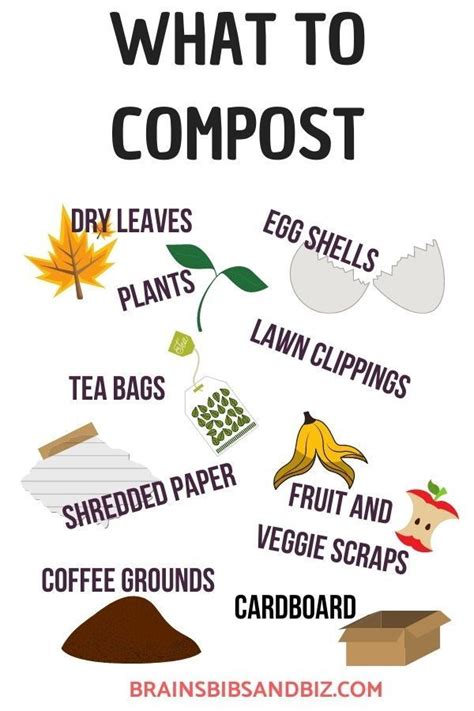 What Do I Compost And How Can I Teach My Child About Composting