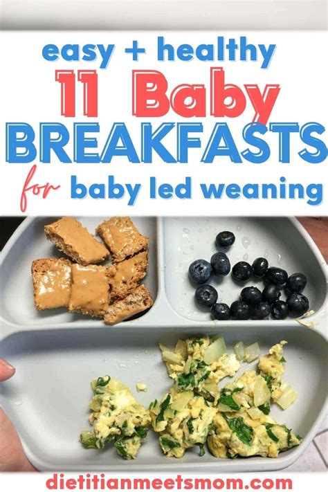 11 Baby Led Weaning Breakfast Ideas Easy Healthy Dietitian Meets Mom