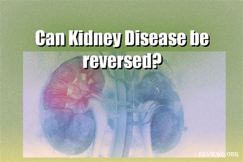 Can Kidney Disease Be Reversed Kidney Disease What