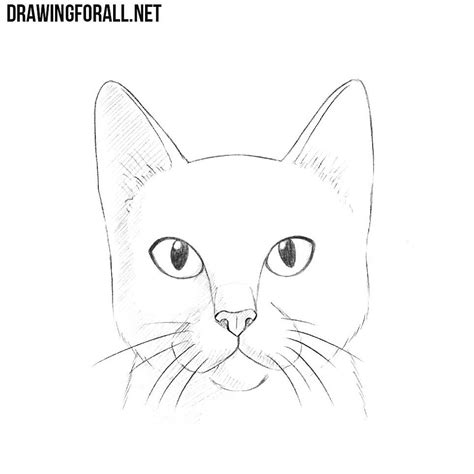 See more ideas about cat drawing, cat art, animal art. How to Draw a Cat Head | Drawingforall.net