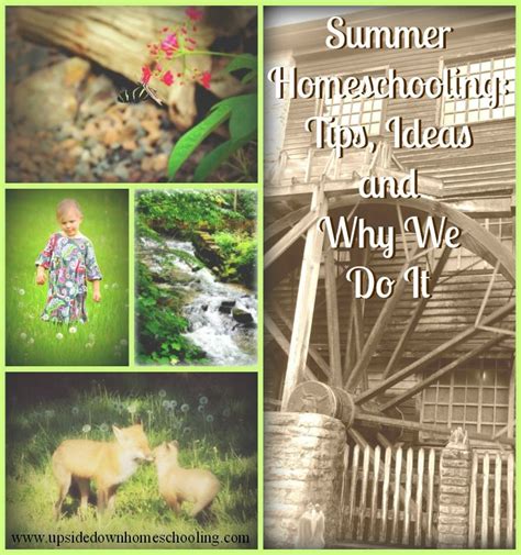 Summer Homeschooling Tips Ideas And Why We Do It