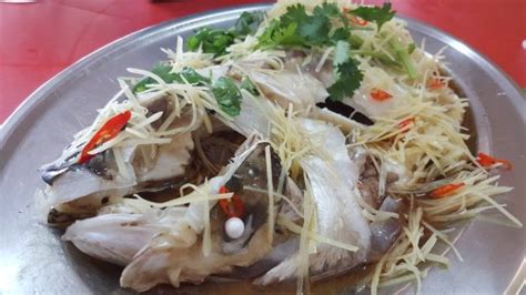 Transfer fish on plate to steamer. Cheras Flats Steam Fish Head, Kuala Lumpur - Restaurant ...