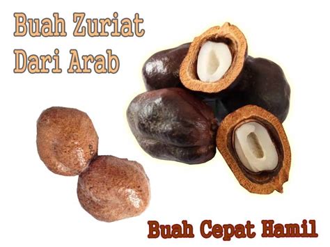 Bagaimana cara nak amalkan, cara nak rebus, cara nak kopek buah yang terlalu keras ni. Cara Mengkonsumsi Buah Zuriat Agar Cepat Hamil | Seputar Buah