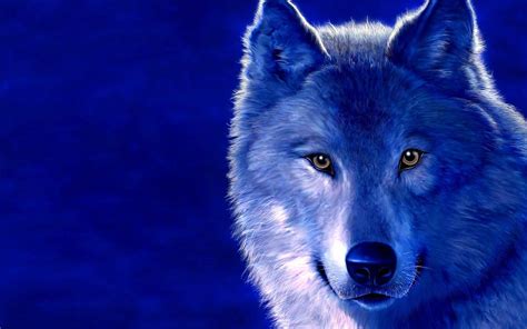 Ice Wolf Wallpapers Wallpaper Cave