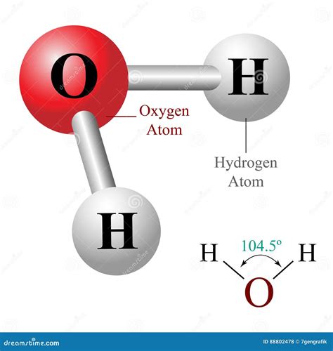H2o Water Molecule Model And Chemical Formula Vector Illustration