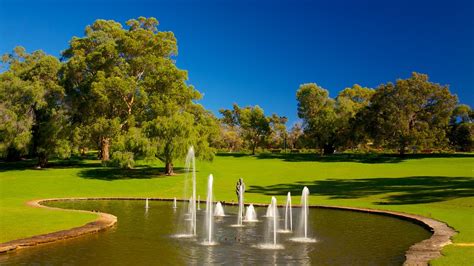 Kings Park And Botanic Garden In Perth Western Australia Expedia