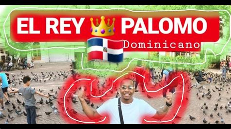 QuÉ Hacer En Santo Domingo Rep Dom Soy El Rey Palomo Dominicano