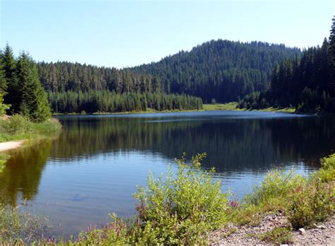 Cascade Ramblings Cascader Hemlock Lake Umpqua National Forest