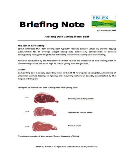Template For Briefing Paper 9 Briefing Note Examples Pdf