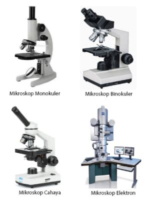 Soal Bagian Mikroskop Materi Belajar Online