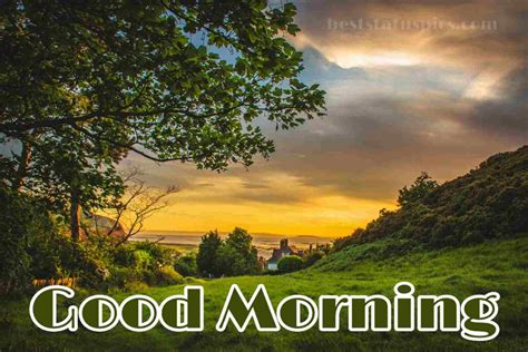 #kemer #good morning #village #animals #birds #songs #binaural #recording #sound. 911+ Beautiful Good Morning Nature HD Images Pics [2021 ...