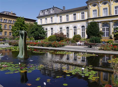 Rund ums poppelsdorfer schloss liegen die botanischen gärten der universität bonn. Botanischer Garten der Universität Bonn | Objektansicht