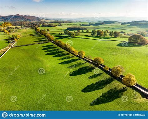 Aerial View Of Endless Lush Pastures And Farmlands Of England