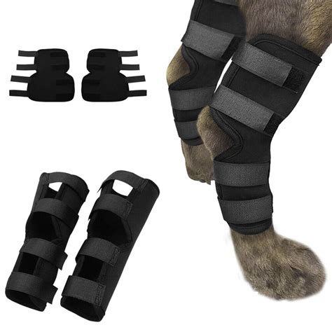 1 Pairs 4 Straps Dog Rear Leg Brace For Dogs Hock Protector Injury