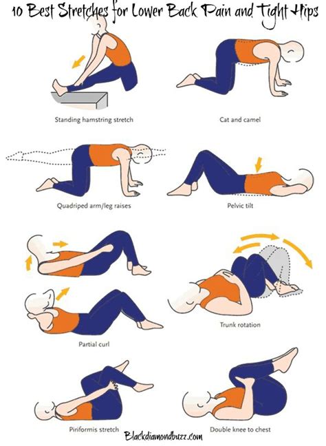 10 Best Stretches For Lower Back Pain And Tight Hips Blackdiamondbuzz