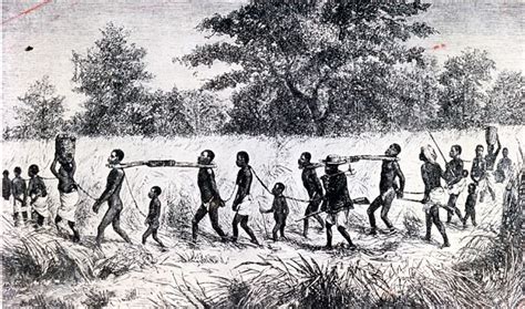 caribbean leaders are to sue britain for its part in the slave trade daily mail online