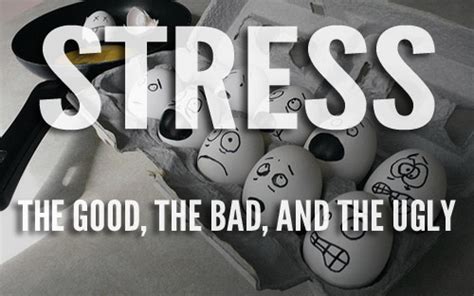 Stress And Survival The Good The Bad And The Ugly Preparedness Hub