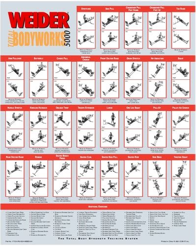 Total Gym Exercises Printable Charts My Astrology Blog