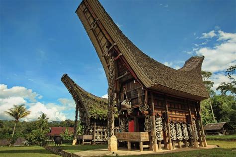 Mengenal Keunikan Rumah Adat Suku Toraja Tongkonangambar Blog Mamikos