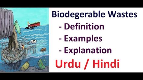 Biodegradable Wastes Definition With Examples Urdu Hindi Youtube