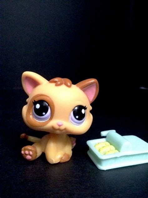 Littlest Pet Shop Yellow Brown Kitten 2414 Baby Cat Rub Orange Purple