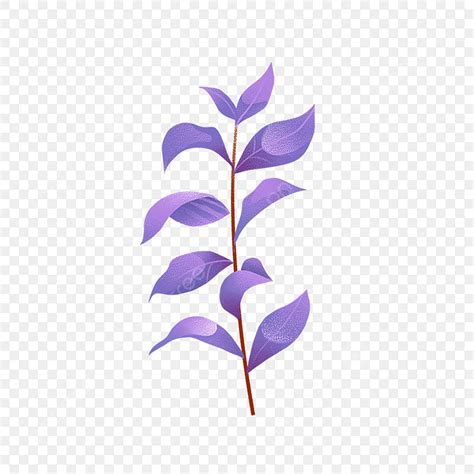 Purple Leaves Tropical Plants Leaf Png Transparent Clipart Image And