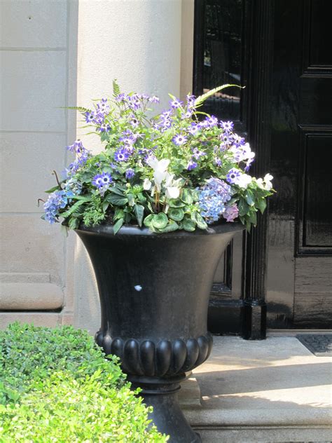 Colourful spring planters for your home. Spring planter | Spring planter, Flower pots, Flowers