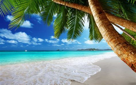 Tropical Beaches Wallpaper Desktop