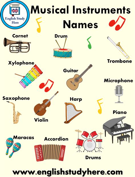 Musical Instruments Names And Pictures English Study Here