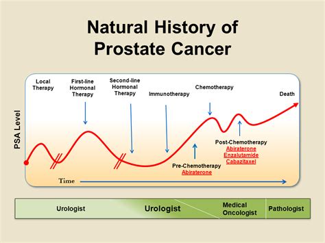 Metastatic Castration Resistant Prostate Cancer Mcrpc Bobby Vincent S Blog