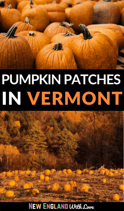 10 Best Pumpkin Patches In Vermont 2024 New England With Love