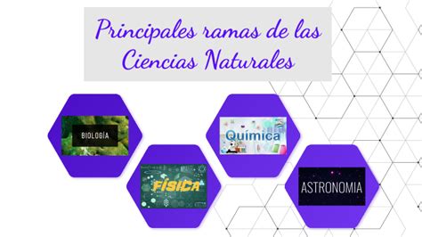 Ramas De Las Ciencias Naturales By Nancy Cueva