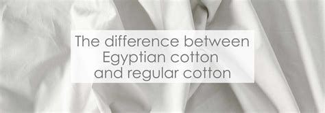The Difference Between Egyptian Cotton And Regular Cotton Homescapes
