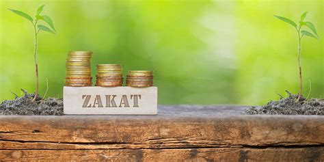 What is Zakat in Islam? | All Perfect Stories