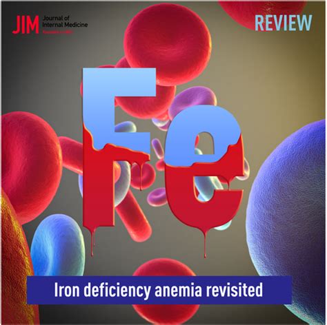 Iron Deficiency Anaemia Revisited Cappellini 2020 Journal Of