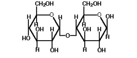 Maltose Structure Diagram