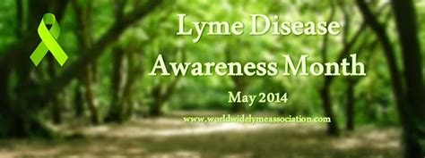 Out Of The Lyme Light May Is Lyme Disease Awareness Month