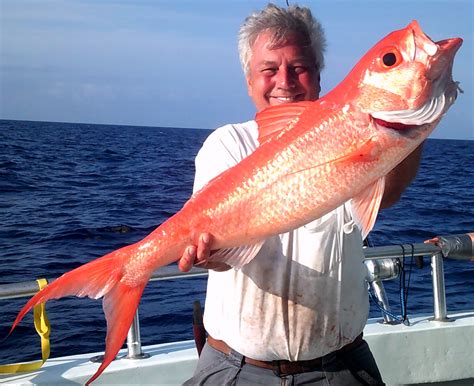 Everything You Need To Know About The Deep Sea Fishing Excursion