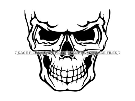 Half Skull Svg Skull Svg Pirate Svg Skull Clipart Skull Etsy New Zealand